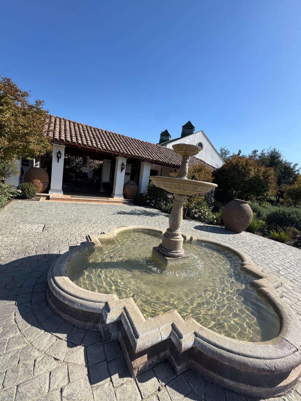 Tour Full Day Casablanca: Full Day Premium en el Valle de Casablanca — foto 1