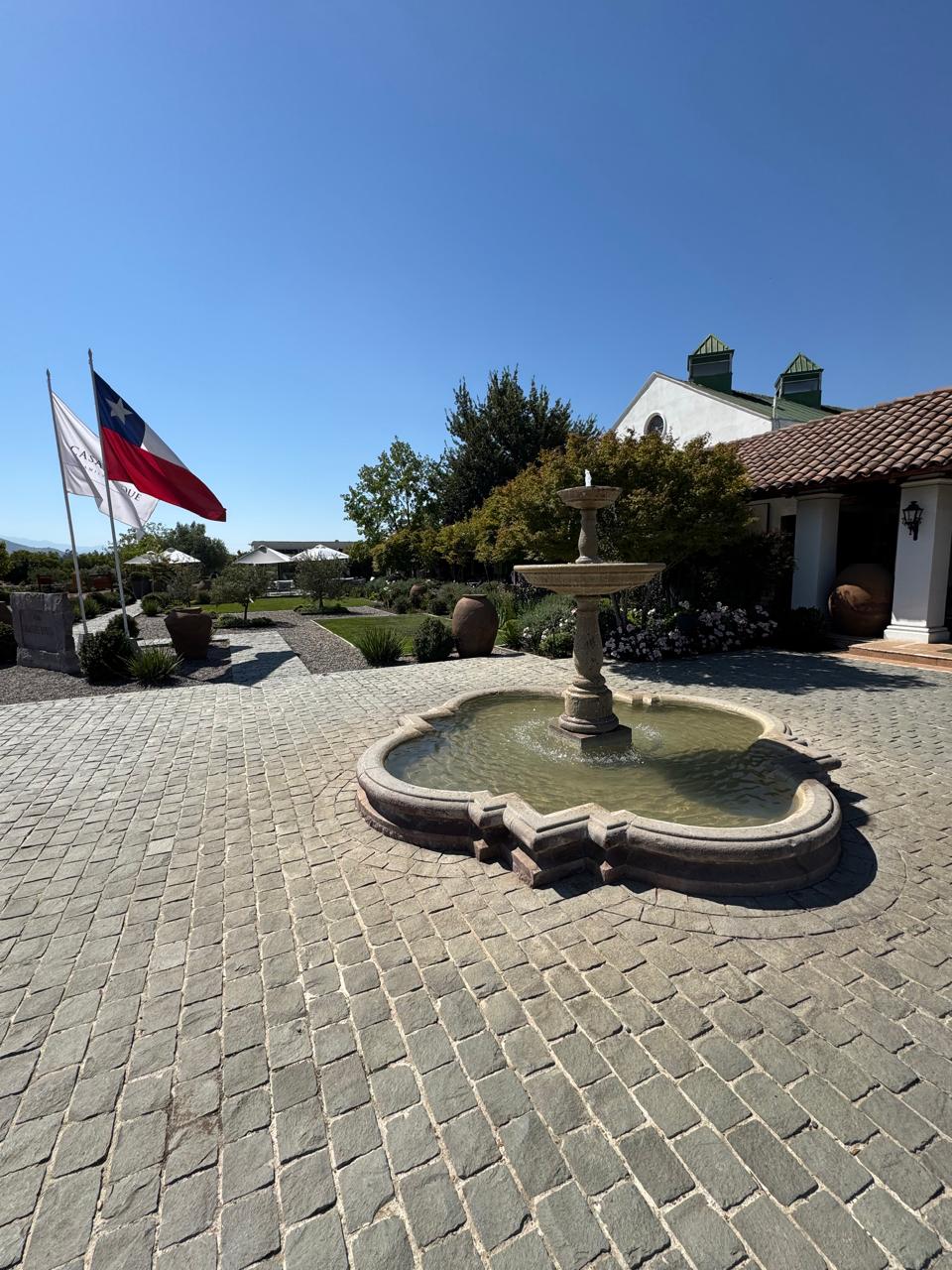 Tour Full Day Casablanca: Full Day Premium en el Valle de Casablanca — foto 4