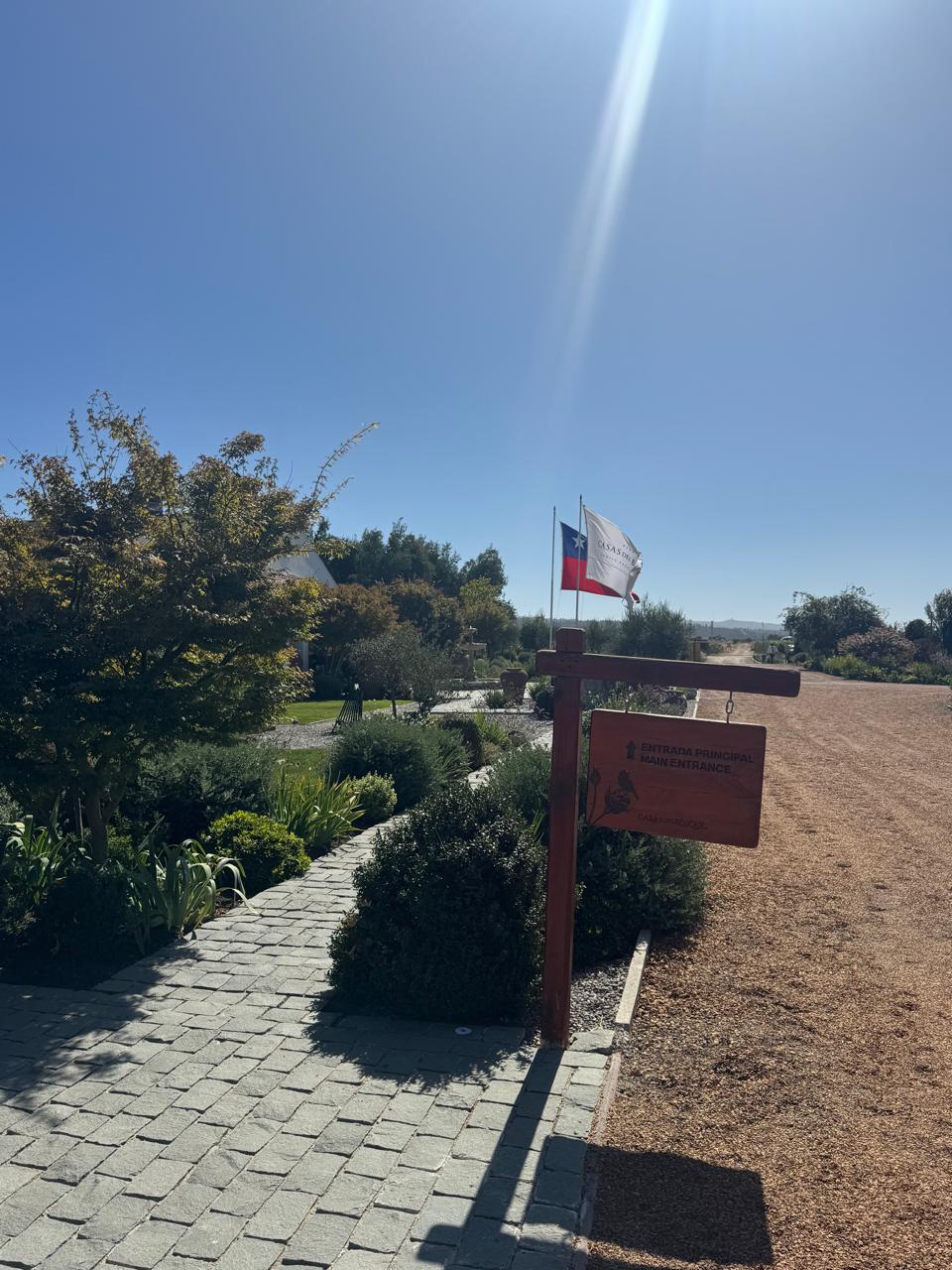 Tour Full Day Casablanca: Full Day Premium en el Valle de Casablanca — foto 5